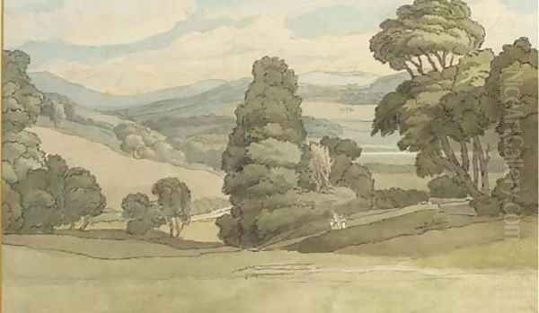 Tothill, Devon - view 1