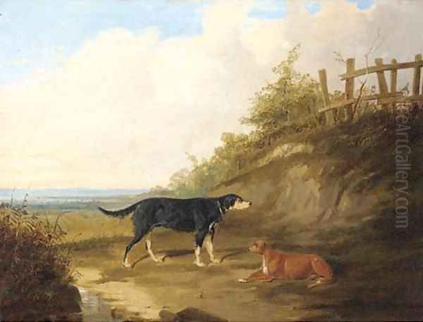 Dogs in an extensive landscape - view 1