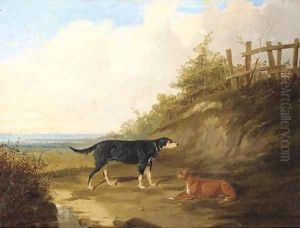 Dogs in an extensive landscape Dogs in an extensive landscape