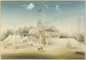 Gladstone Gold Mining Company, Alma Flat, Maryborough by William Tibbits