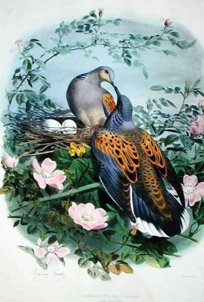 A Pair of Turtle Doves - view 1