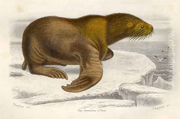 The Sea Lion, engraved by Paquien - view 1