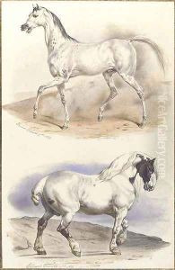 An Arab stallion and a carthorse by Edouard Travies