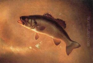 Broadtail Bass