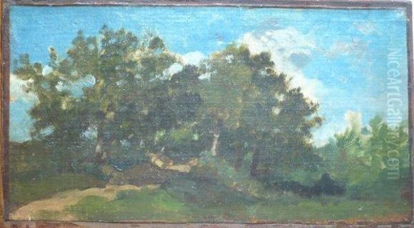 Etude De Paysage Boise. - view 1