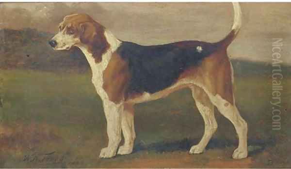 Banish a hound - view 1