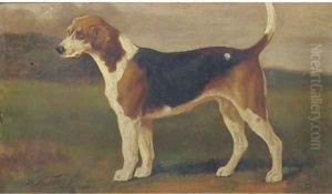 Banish a hound by William Henry Hamilton Trood
