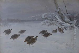 Kuropatwy Na Sniegu Kuropatwy Na Sniegu