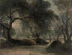 A Forest Landscape A Forest Landscape