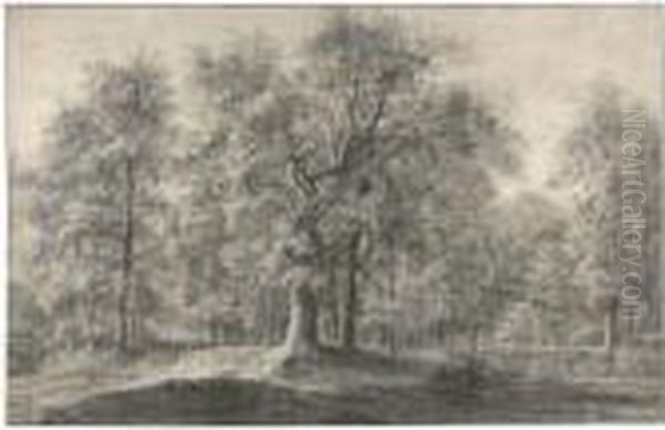Wooded Landscape With A Road And Pond - view 1