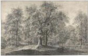 Wooded Landscape With A Road And Pond