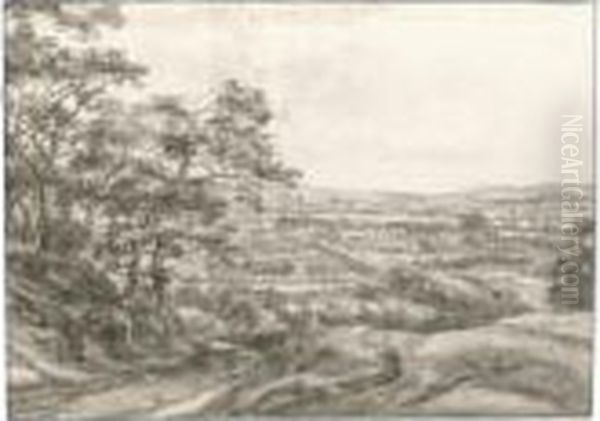 Panoramic View Of A River Valley - view 1