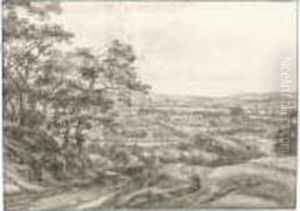 Panoramic View Of A River Valley