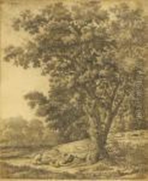 Untitled - view 1