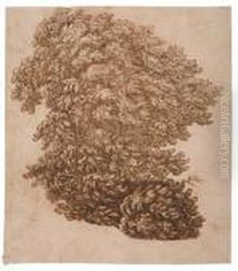 Study Of A Tree