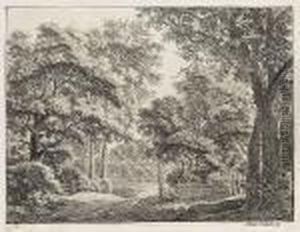 Waldweg Mit Den Einzaunungen