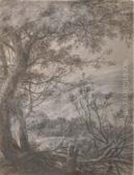 A Wooded Landscape With A View Over Hills - view 1