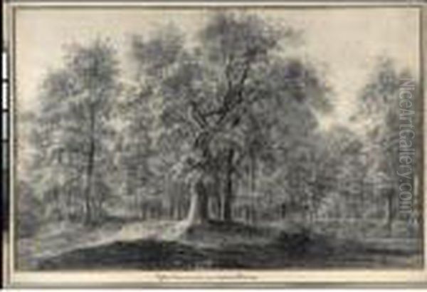 Wooded Landscape With A Road And Pond - view 1