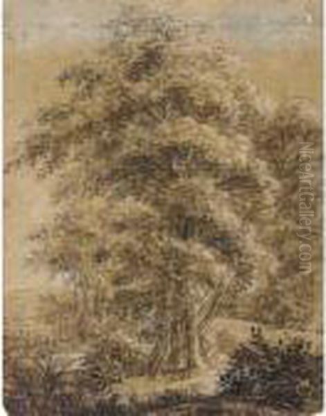 Trees At The Edge Of A Woodland, A Village In The Distance - view 1