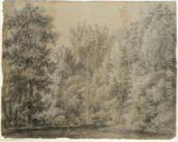 A Stream Amongst Woods Near Nijmegen - view 1