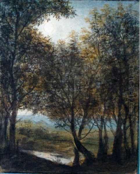 Moonlit Wooded Landscape - view 1