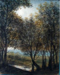 Moonlit Wooded Landscape Moonlit Wooded Landscape