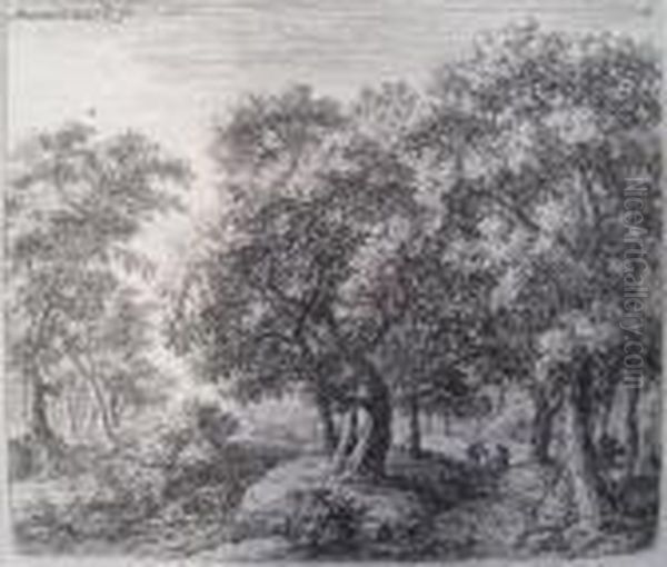 The Forest Lane - view 1