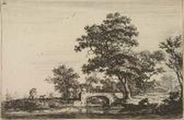 Landscapes - view 1