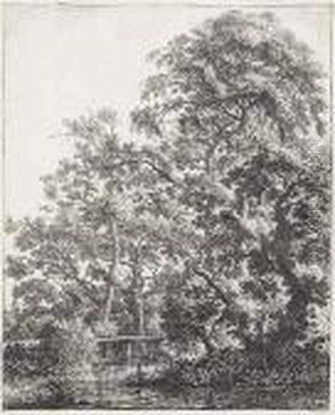 Small Bridge Over A Stream - view 1