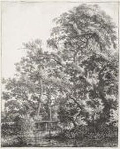 Small Bridge Over A Stream Small Bridge Over A Stream