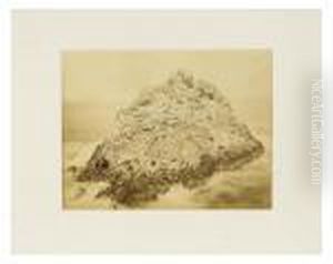 Seal Rock, Farallini Island, Pacific Ocean