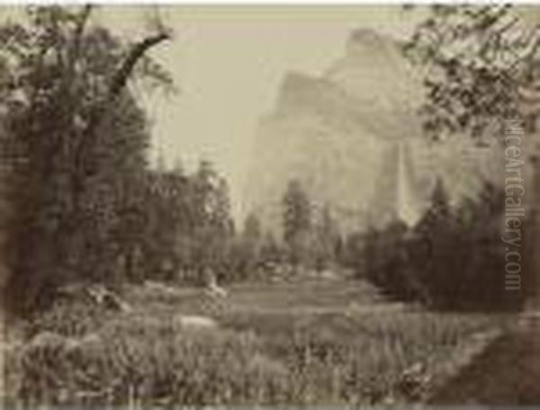 Bridal Veil, From The Black Spring, Yosemite - view 1
