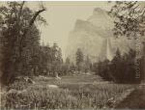 Bridal Veil, From The Black Spring, Yosemite by Carleton Emmons Watkins