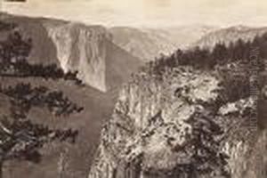 First View Of The Yosemite Valley From The Mariposa Trail by Carleton Emmons Watkins