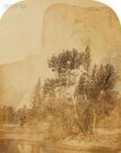 Five Yosemite Valley Landscapes. by Carleton Emmons Watkins