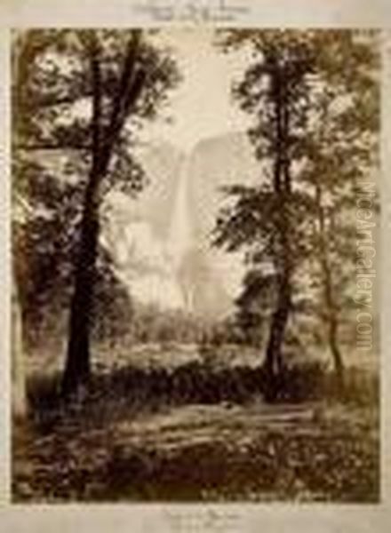 The Yosemite Falls - view 1