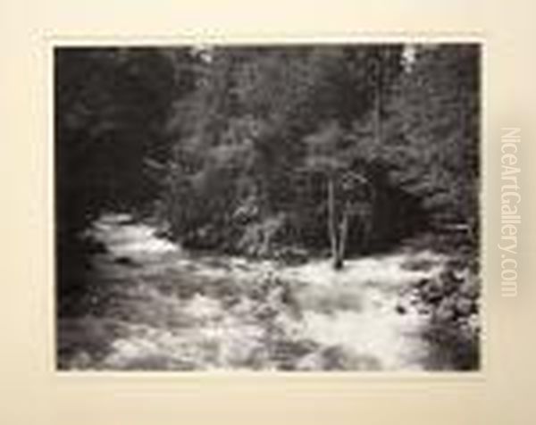 Matted Silver Gelatin Photographs - view 1