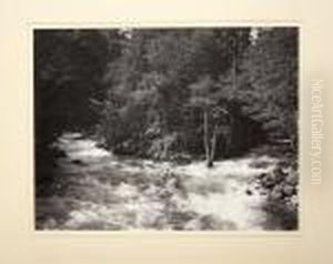 Matted Silver Gelatin Photographs