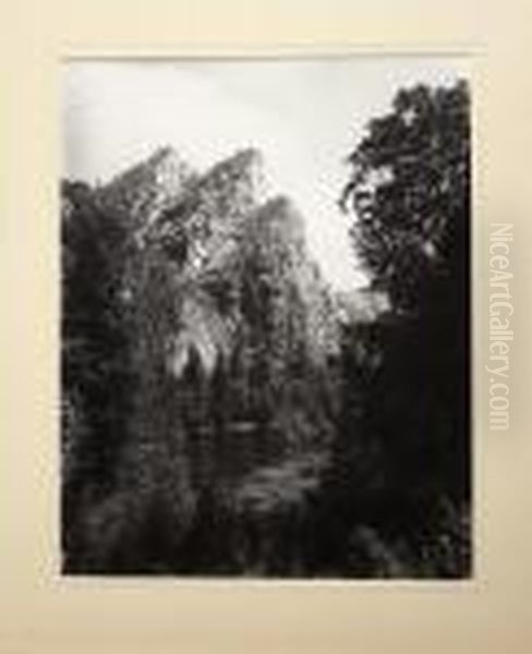 Mammoth Plates - view 1