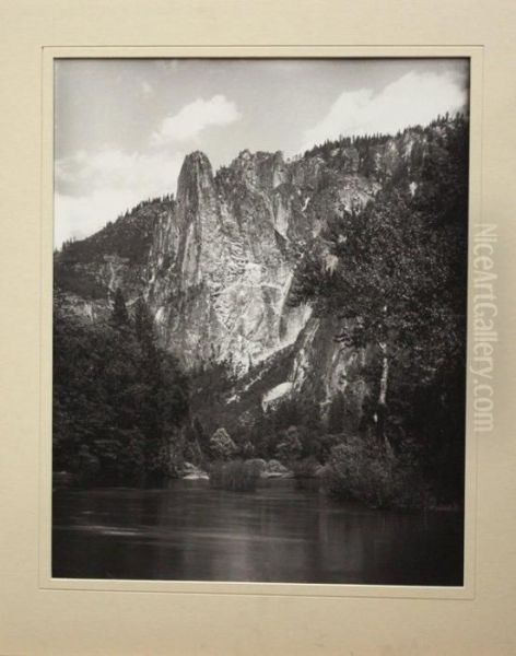 Mammoth Plates - view 1