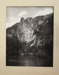 Mammoth Plates by Carleton Emmons Watkins