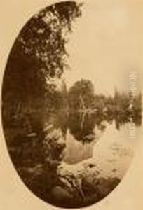 View Of Yosemite. by Carleton Emmons Watkins