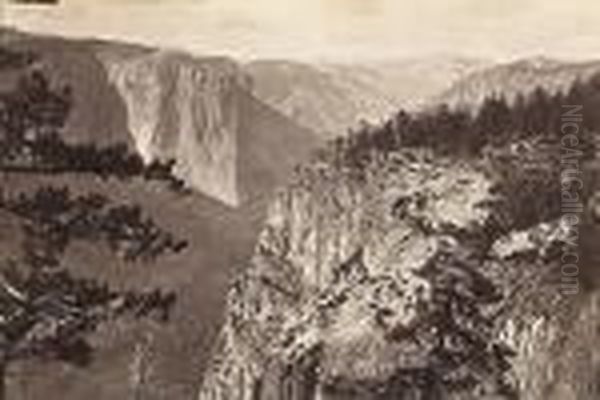 First View Of The Yosemite Valley From Themariposa Trail - view 1