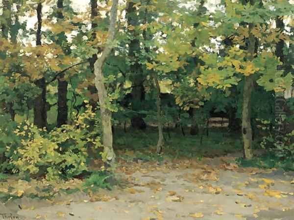 A view in a forest - view 1