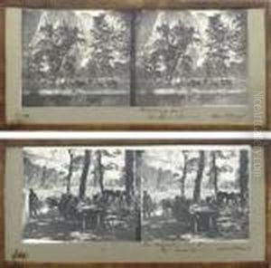 Selected Stereoviews Of The Mariposa Estate And Yosemite, C. 1861 by Carleton Emmons Watkins