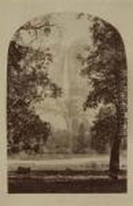 Untitled by Carleton Emmons Watkins