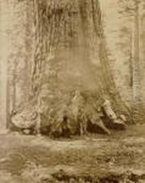 Grizzly Giant - view 1
