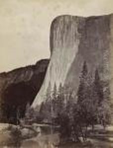 Untitled by Carleton Emmons Watkins