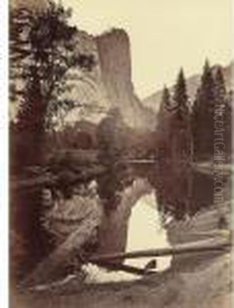 'washington Column, 208 Feet Yosemite"" - view 1
