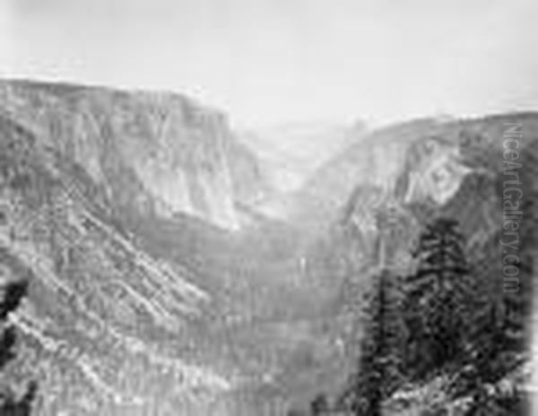 Yosemite Valley No. 5 - view 1